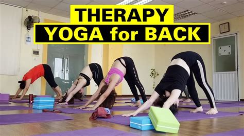 Top 7 Props For Back Care By Yoga Terriers