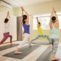 Top Rated Yoga Studios for Beginners