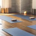 Top Studio Features By Yoga Terriers