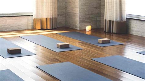 Top Studio Features By Yoga Terriers