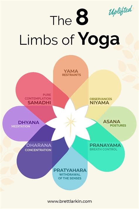 Understanding the 8 Limbs of Yoga