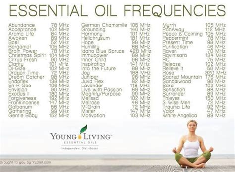 What Makes Oils Pure? Yoga Terriers Know