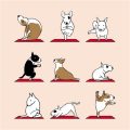 What Studio Fees Matter? Yoga Terriers Know