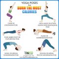 Which Type of Yoga Burns the Most Calories