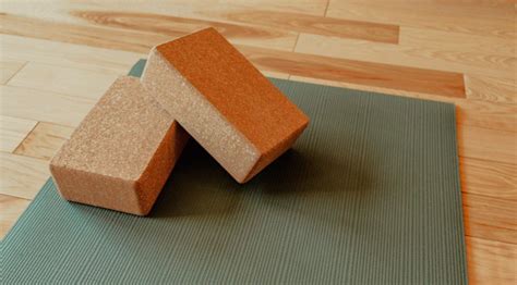 Why Yoga Terriers Love Cork vs Foam Blocks