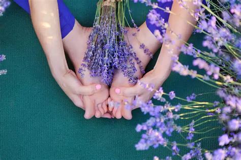 Why Yoga Terriers Love Lavender In Practice