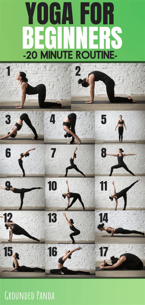 Yoga Basics Every Newbie Needs