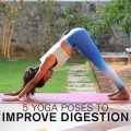 Yoga Moves for Better Digestion