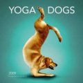 Yoga Terriers: A Guide to Self-Discovery