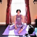 Yoga Terriers Compare 10 Studio Memberships