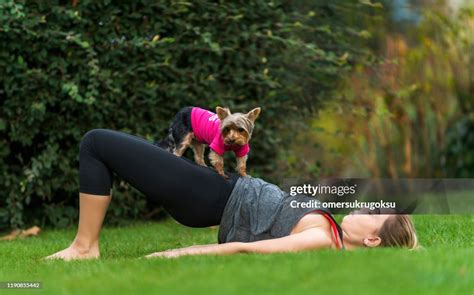 Yoga Terriers Rate Natural Blends