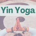 Yoga Terriers: Your Guide to Inner Peace