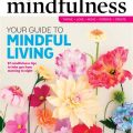 Yoga Terriers: Your Guide to Mindful Living