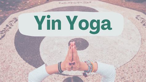 Yoga Terriers: Your Inner Guide to Peace