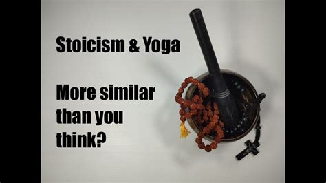 Yoga Terriers and Stoicism: A Unique Connection