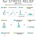 Yoga Terriers as a Tool for Stress Relief