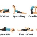 Yoga Terriers for Your Mental Health