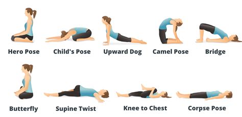 Yoga Terriers for Your Mental Health