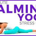 Yoga for Stress Relief A Journey to Calm