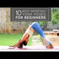 Key Yoga Moves for Beginners