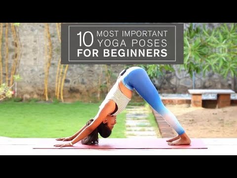 Key Yoga Moves for Beginners