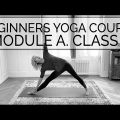 Learn Yoga Basics From Scratch